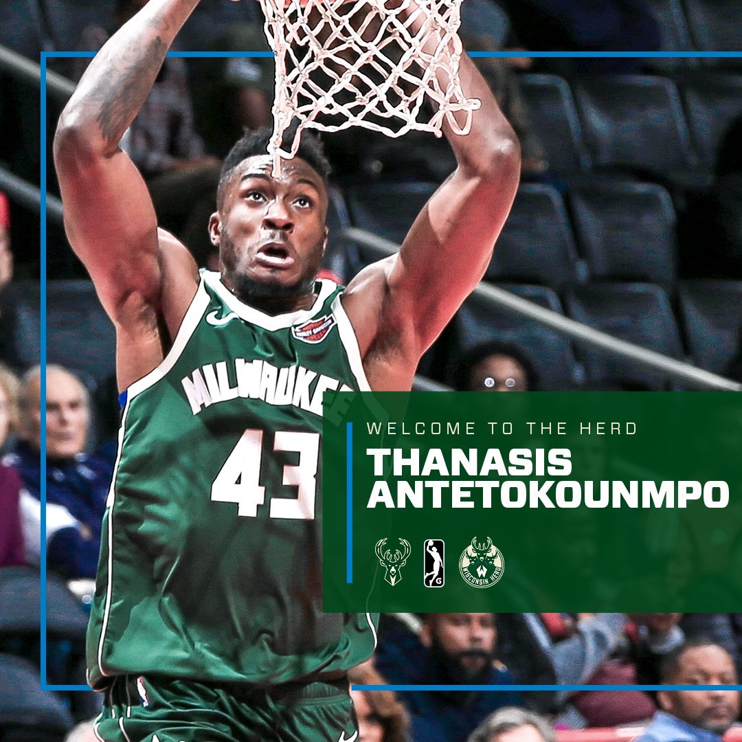 增添了诸多 增添了诸多