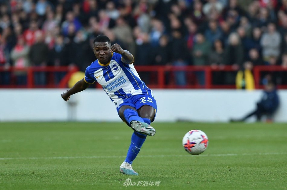 发挥着作用 发挥着作用